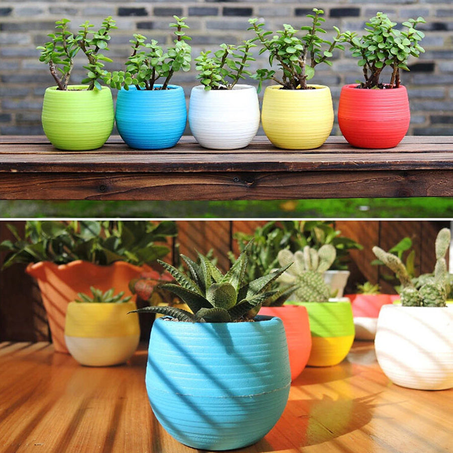 Mini Colourful Round Plastic Plant Flower Pots Home Office Decor Planter  Decorative Crafts in the bedroom, living room